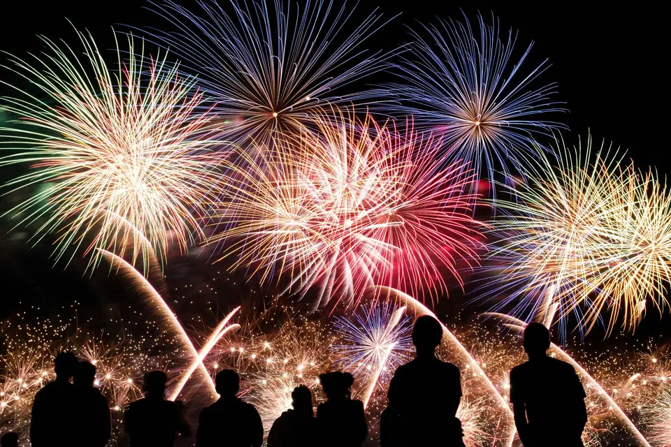 A crowd seen in silhouette watching a wide fireworks display